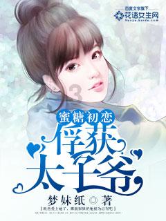 高晓松、何炅、马东、蔡康永的语言风格有什么不同？